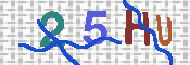 キャプチャ画像