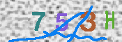 キャプチャ画像