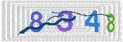 キャプチャ画像