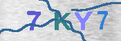 キャプチャ画像