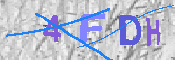 キャプチャ画像