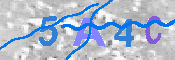 キャプチャ画像