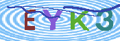 キャプチャ画像