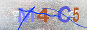 キャプチャ画像