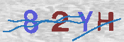 キャプチャ画像