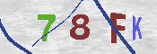 キャプチャ画像