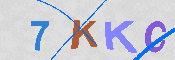 キャプチャ画像