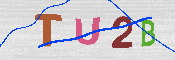 キャプチャ画像