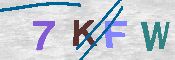 キャプチャ画像