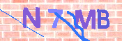 キャプチャ画像