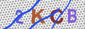 キャプチャ画像