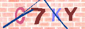 キャプチャ画像