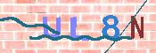 キャプチャ画像