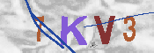 キャプチャ画像