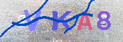 キャプチャ画像