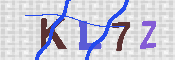 キャプチャ画像