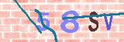 キャプチャ画像