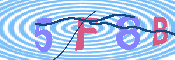キャプチャ画像
