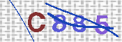 キャプチャ画像