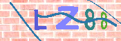 キャプチャ画像