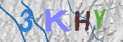 キャプチャ画像
