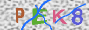 キャプチャ画像