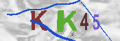 キャプチャ画像