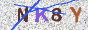 キャプチャ画像