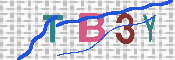 キャプチャ画像