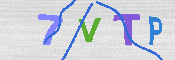 キャプチャ画像