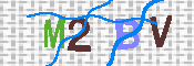 キャプチャ画像