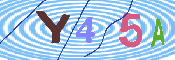 キャプチャ画像