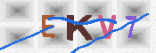 キャプチャ画像