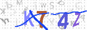 キャプチャ画像