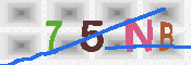 キャプチャ画像