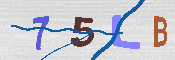 キャプチャ画像