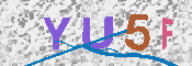 キャプチャ画像