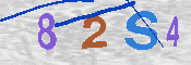 キャプチャ画像