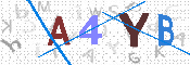 キャプチャ画像