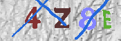 キャプチャ画像