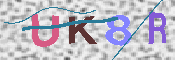 キャプチャ画像