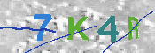 キャプチャ画像