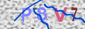キャプチャ画像