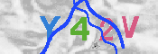 キャプチャ画像