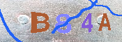 キャプチャ画像