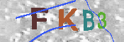 キャプチャ画像