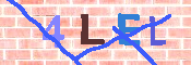 キャプチャ画像