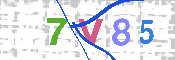 キャプチャ画像