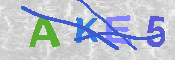 キャプチャ画像