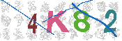 キャプチャ画像